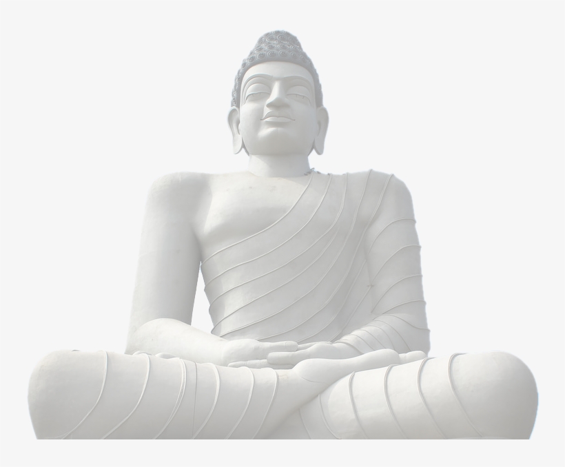 Twitter, transparent png #2691679