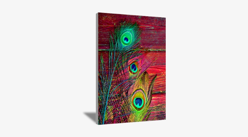 Peacock Feathers Wall Art - Modern Art, transparent png #2692560