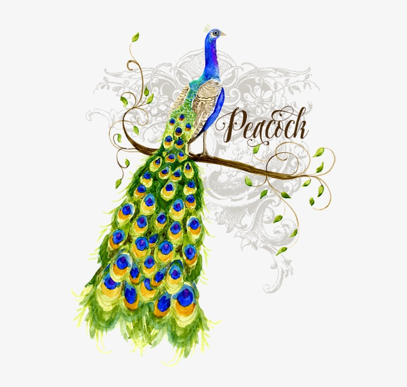 Bleed Area May Not Be Visible - Peacock On Tree Painting, transparent png #2692691