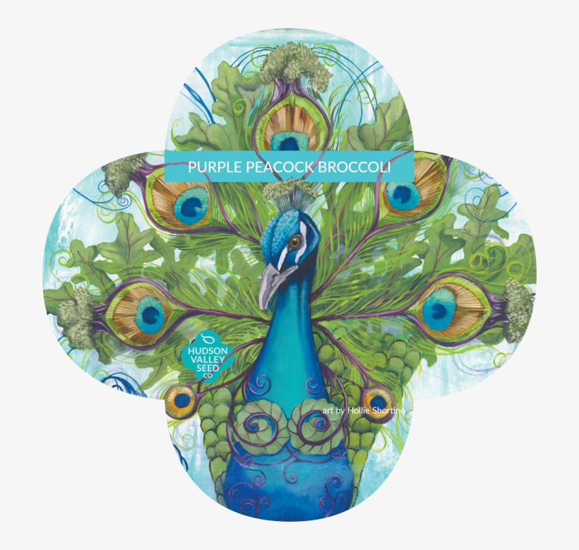 Seed, transparent png #2693299