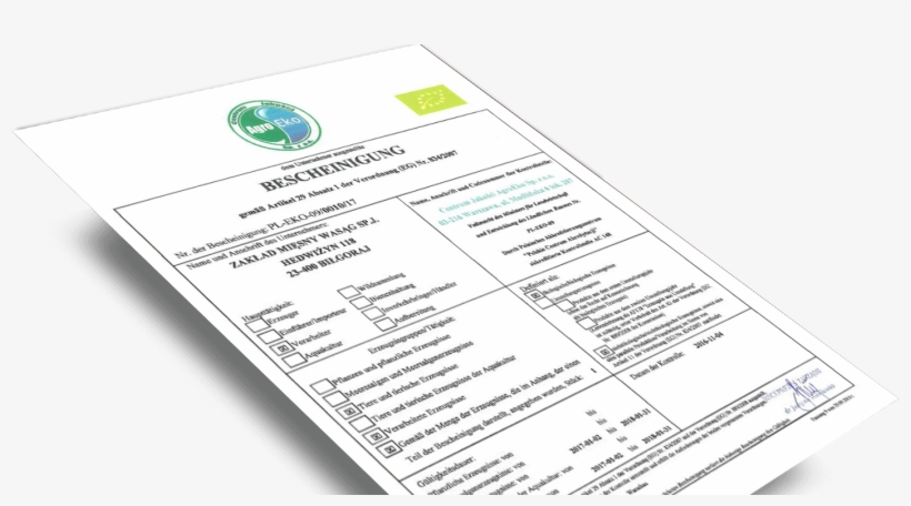 Cert De - Document, transparent png #2693755