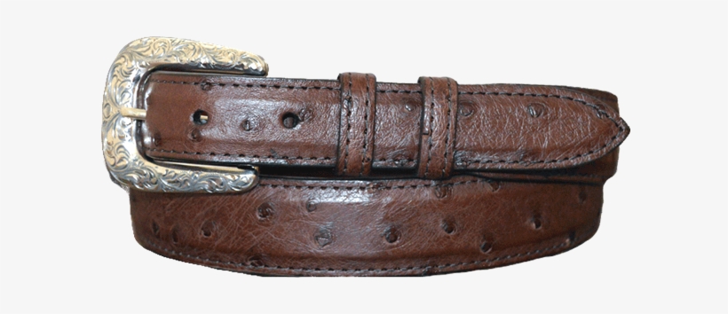 Genuine Full Quill Ostrich Belt, Tobacco - Belt, transparent png #2694150