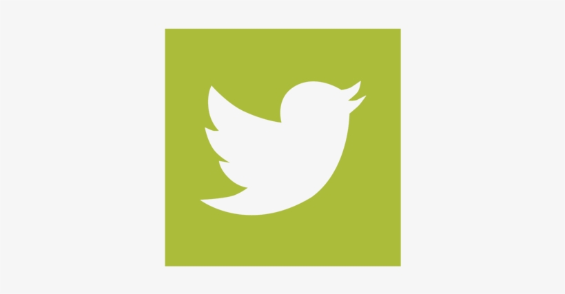 17 Am 11306 Tsp Logo Registered 5/3/2017 - Current Twitter Icon, transparent png #2695013
