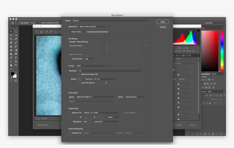 Select “ ” As Your File Extension And Don't Tick “resize - Srgb Camera Raw Photoshop, transparent png #2695543