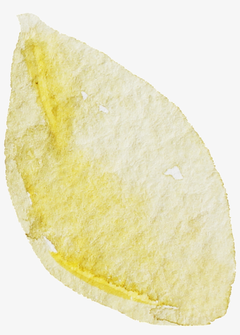 Water Yellow Leaf Cartoon Transparent - Fruit, transparent png #2696895
