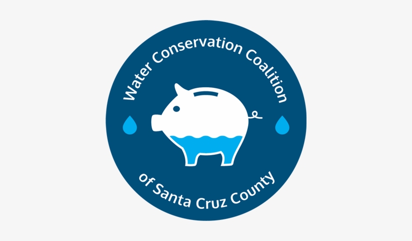 Stay Informed On The Drought - Irritant Diaper Dermatitis, transparent png #2698141