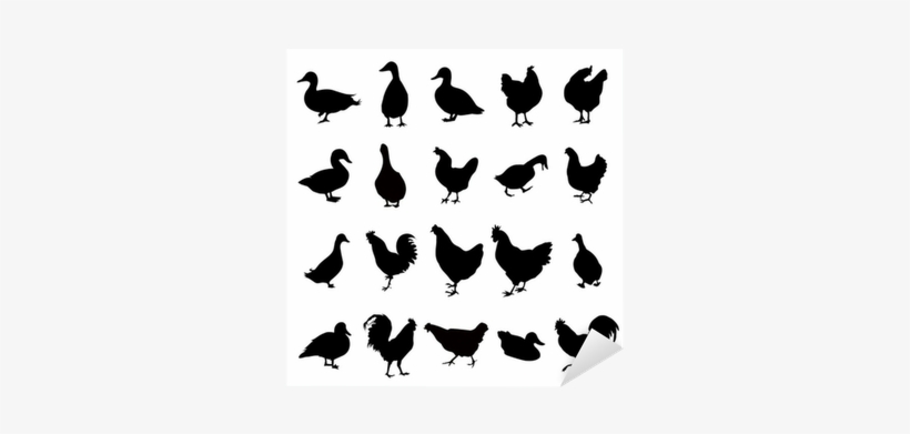 Duck Chicken Silhouettes Sticker Pixers We Live - Chicken, transparent png #2699211