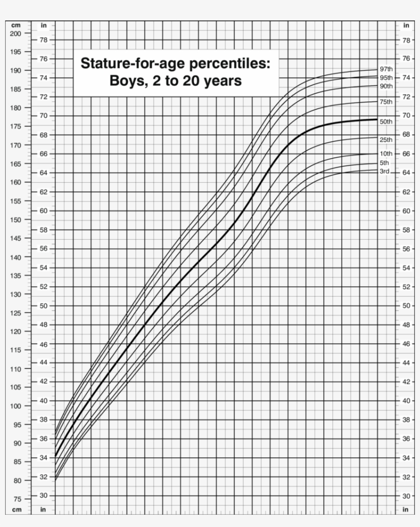 Cdc Growth Chart Girl 2 20 Bmi