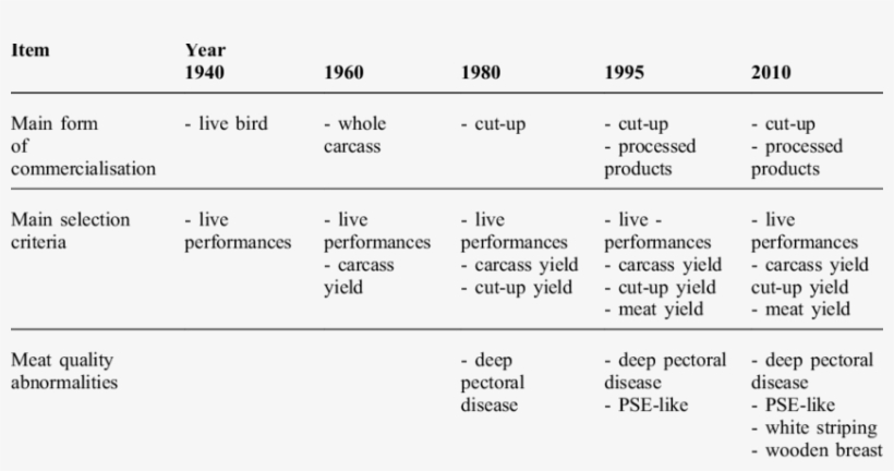 Relationships Between The Evolution Of Marketing Forms,, transparent png #2699293