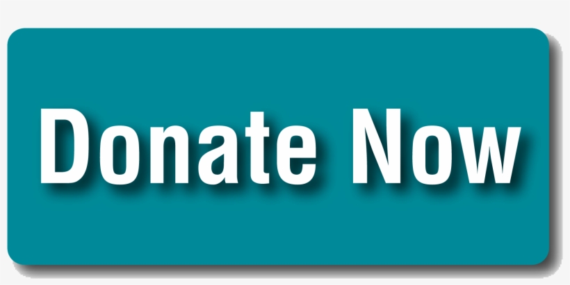 Donate-now - Group Registration, transparent png #2699323
