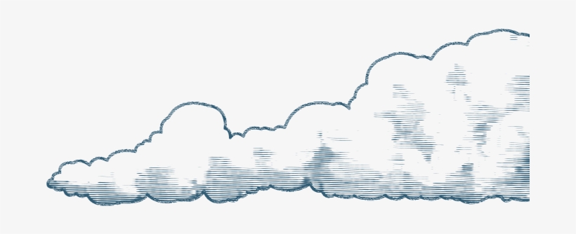 Chicken, transparent png #2699374