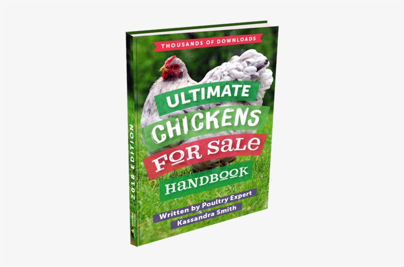Download Ebook - Wildlife, transparent png #2699495