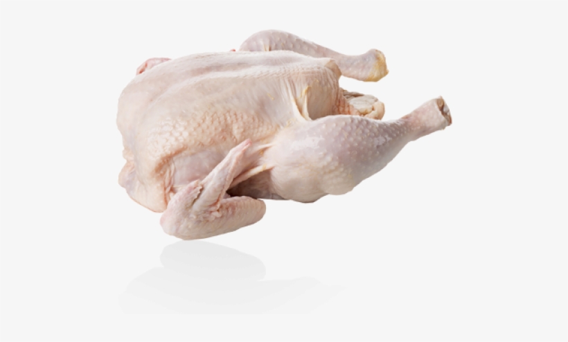 Kampung Chicken Whole, transparent png #2699518