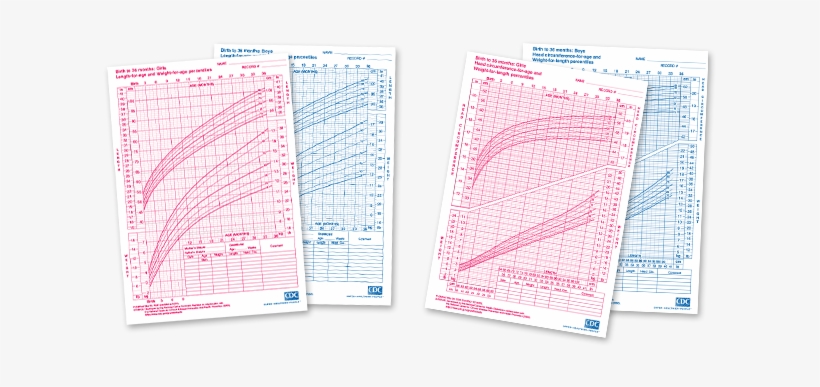 Chart Gfx Tcm143 - Weight And Height Percentile, transparent png #2699821