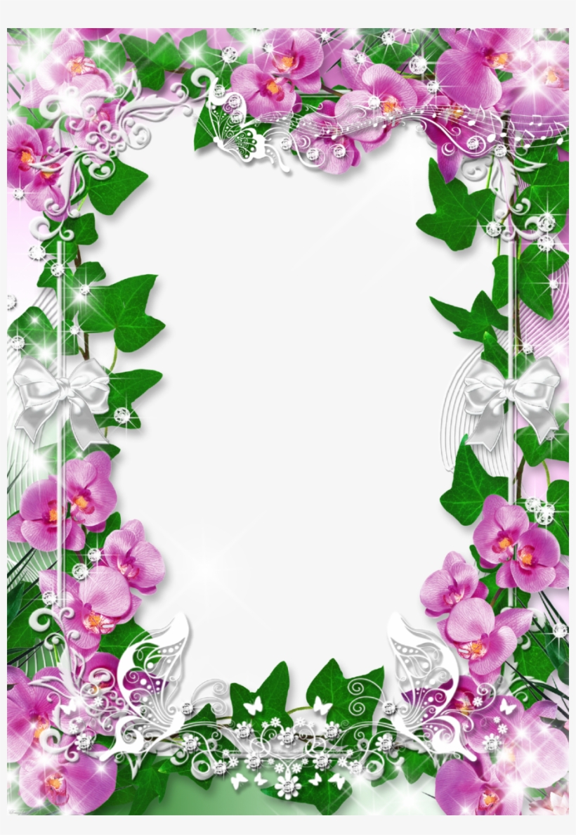 Photo Frame With Flowers Orchid Favorite Png 914 1280 - Orchid Flower Frame Png, transparent png #270077