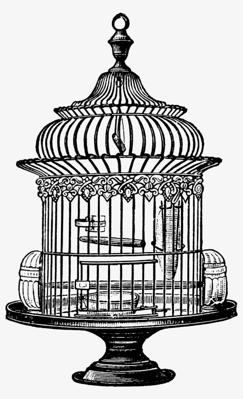 Watercolor Flower Birdcage Clipart By Bohemiangardens - Vintage Bird Cage Drawing, transparent png #270955