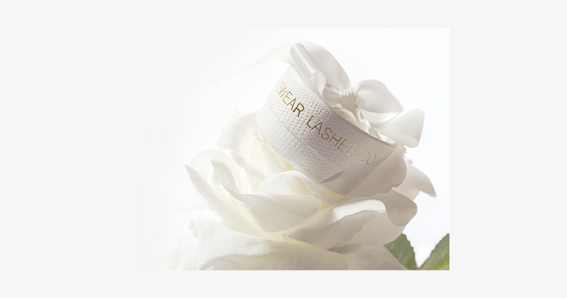 Data/pav Layers Slider/world Class/lashes - Eyelash Extensions, transparent png #271077