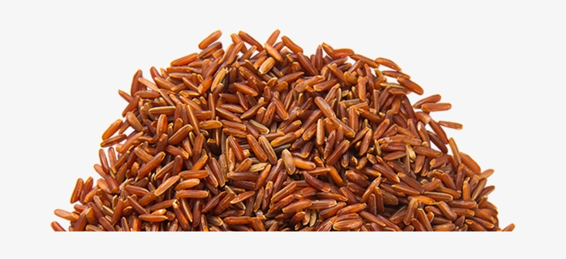 Clipart Library Library Png Transparent Images Pluspng - Brown Rice Transparent Png, transparent png #271082
