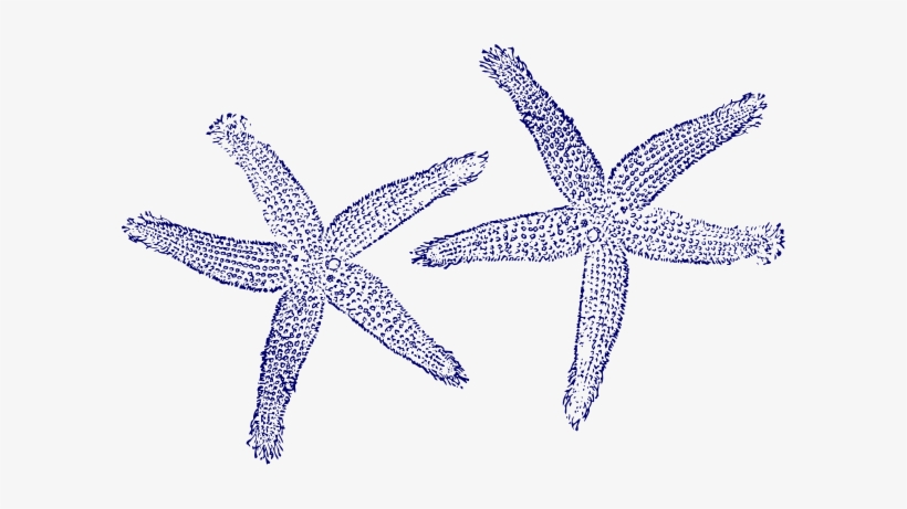 Navy Blue Twin Starfish Clip Art At Clker - Navy Blue Starfish Clipart, transparent png #271207