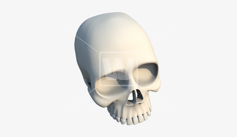 3d Skull Bone - Skull, transparent png #271516