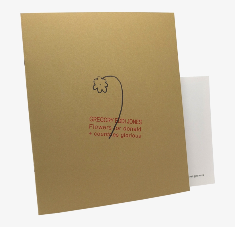 Donald Trump, transparent png #272035