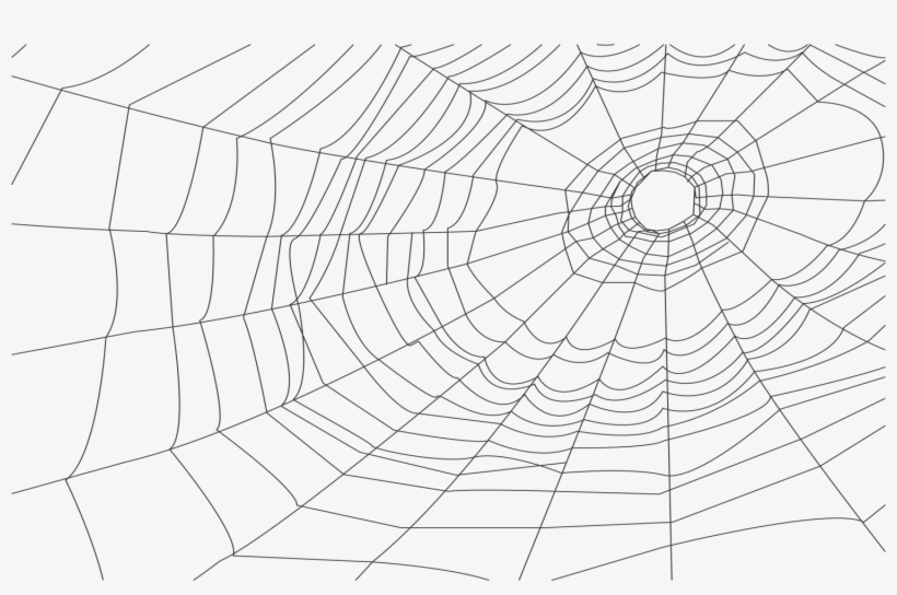 Navigation - Cobweb Illustration, transparent png #272294
