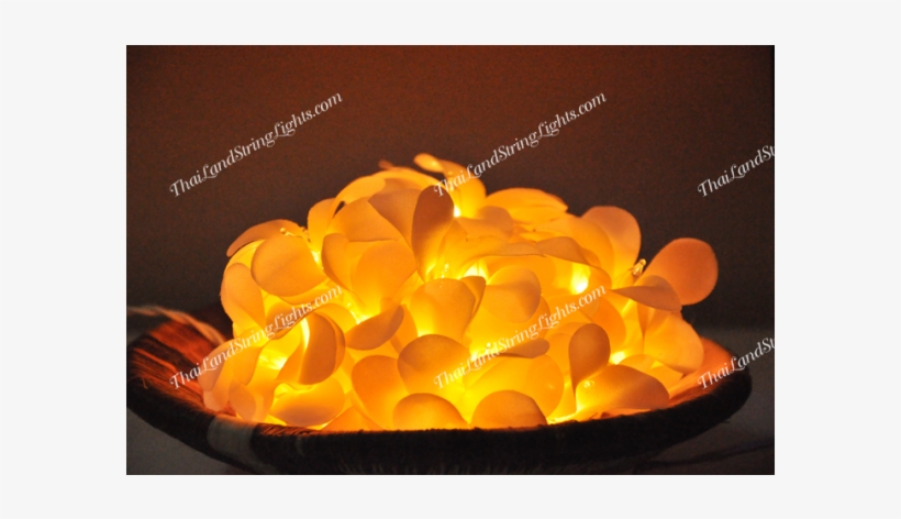 Yellow, transparent png #272335