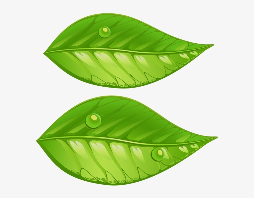 Green Leaves Png Transparent Clip Art Image - Green Leaves Clip Art Png, transparent png #272517