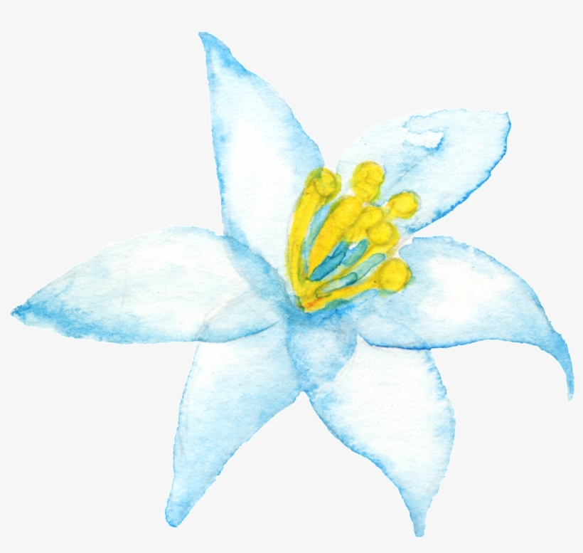 Yellow Branch Corazon Cartoon Png Transparente - Portable Network Graphics, transparent png #273220