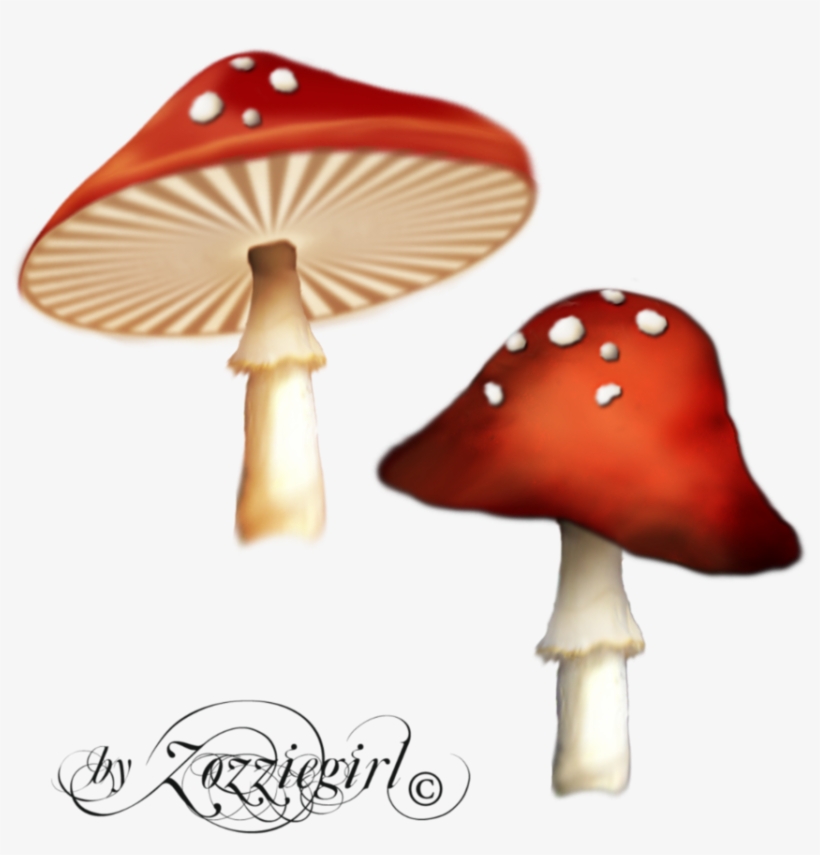 Free Icons Png - Enchanted Mushroom Png, transparent png #273667