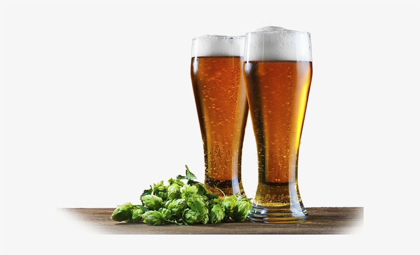 Two Beer Glasses And Hops Sitting On A Wooden Surface - Beer, transparent png #273834