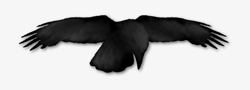 Raven Logo Png - Raven's Corner, transparent png #273925