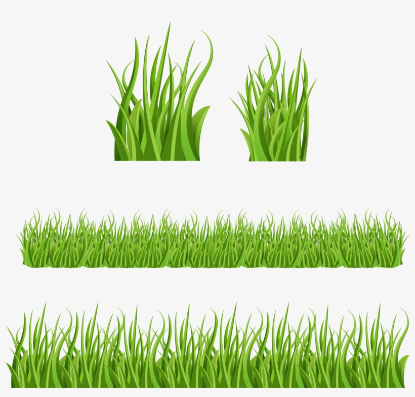 Set Png Gallery Yopriceville Quality Images View - Grass Psd, transparent png #273988