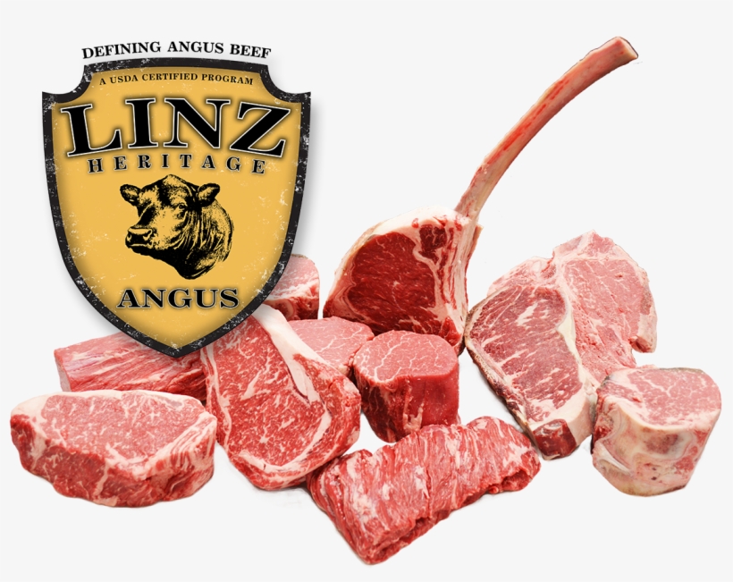 Linz Heritage Angus Linz Heritage Angus Logo Free Transparent PNG