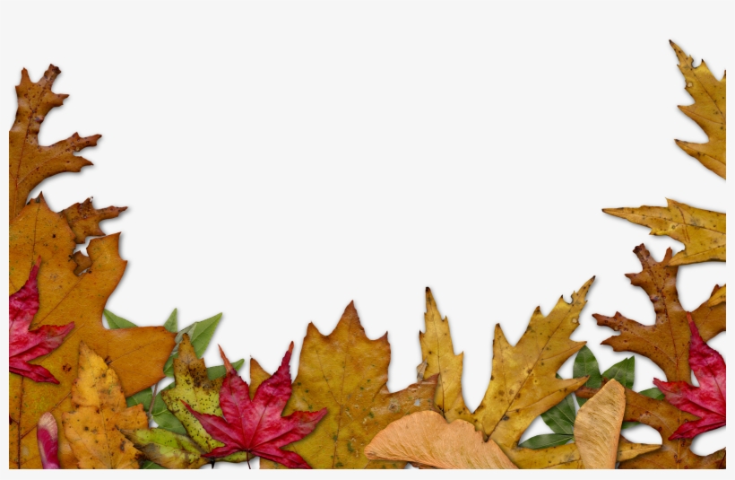 Autumn Leaves Clipart Corner - Autumn Leaves Border Png, transparent png #275196