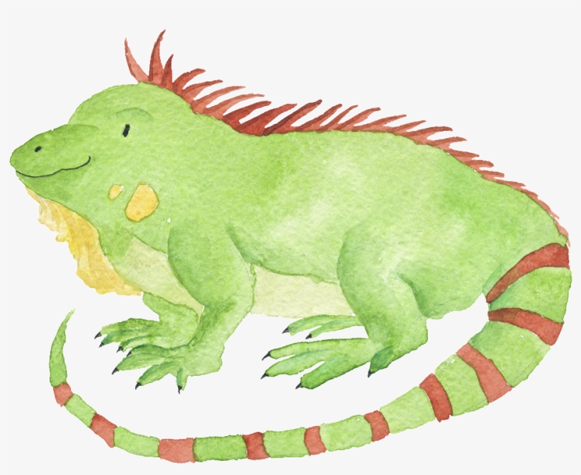 Watercolor Hand Drawn Animal Iguana Illustration, transparent png #275408