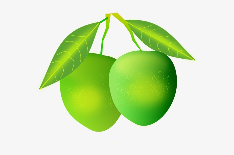 How To Set Use Mango Clipart, transparent png #276425