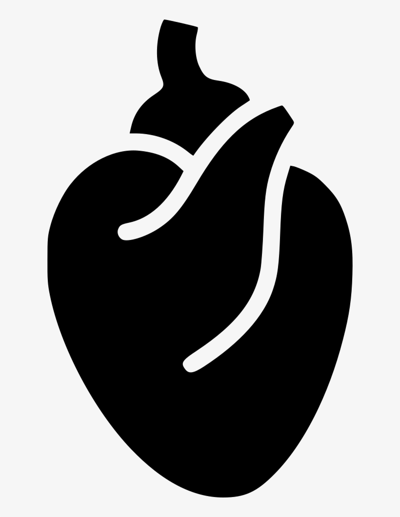 Heart Heart Muscle Blood System Body Anatomy Comments - Black And White Anatomical Heart Png, transparent png #276917