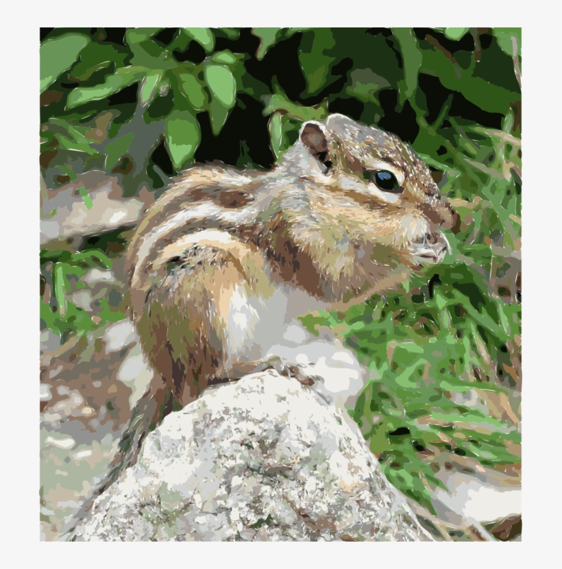 Squirrel Rodent Siberian Chipmunk Prairie Dog Animal - Борша Тышқан, transparent png #277395