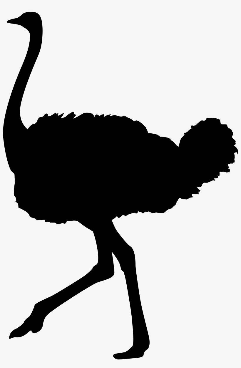 Ostrich Silhouette Png Transparent Clip Art Image - Ostrich Silhouette, transparent png #277437