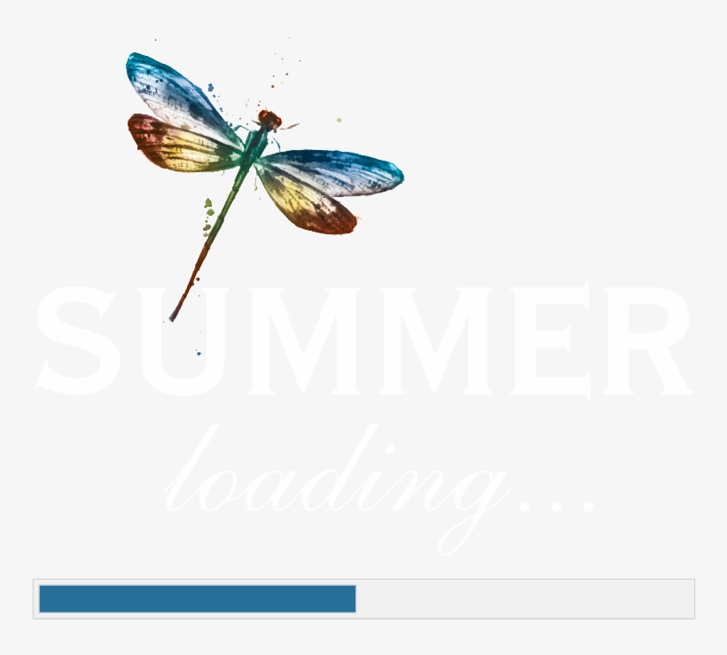 Summer Loading Logo - Delphinsommer Dvd, transparent png #277948