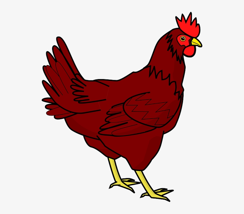 Chicken Png Transparent Image - Hen Clipart, transparent png #277971