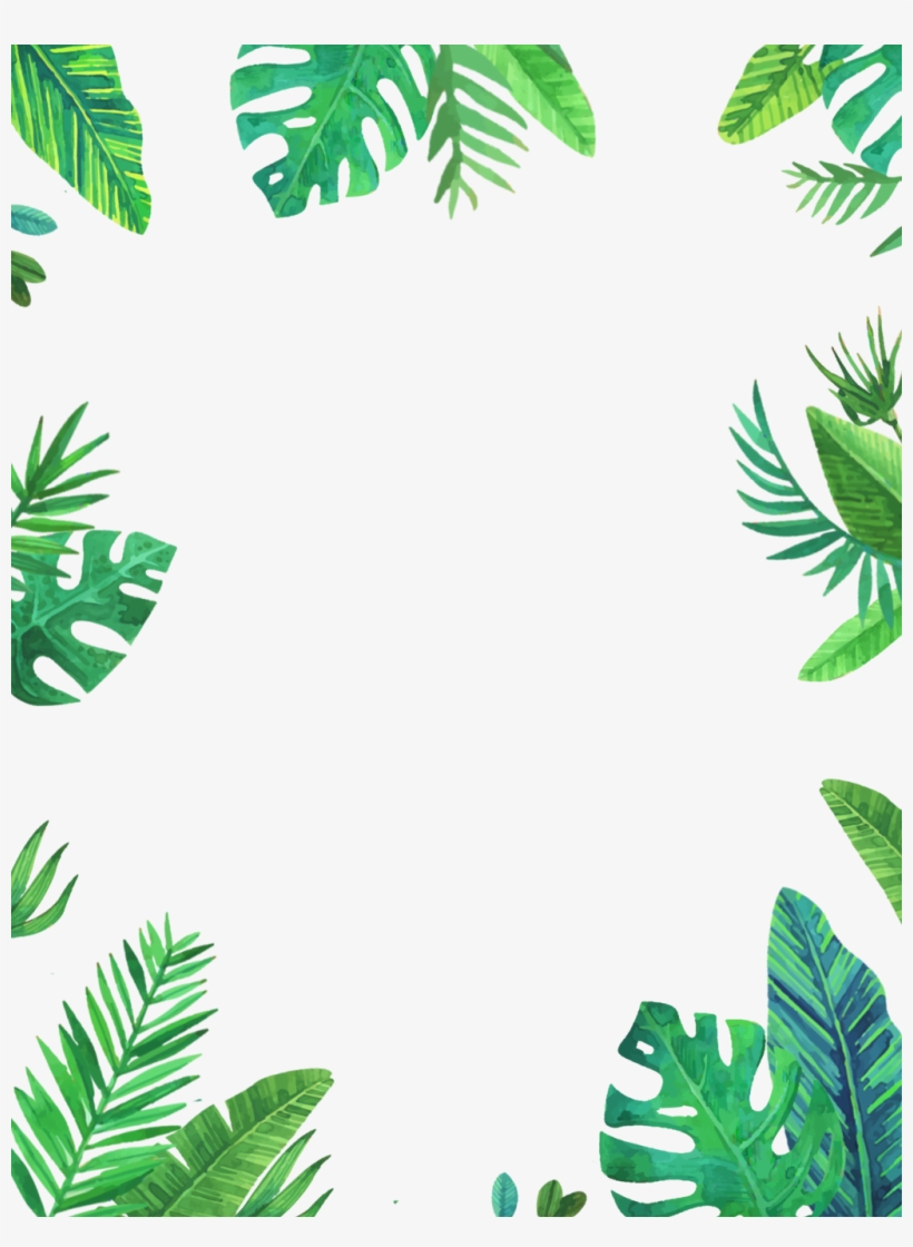 Leaves Tropical Frame Png Clipart Picture Frames - Tropical Frame Png, transparent png #277993