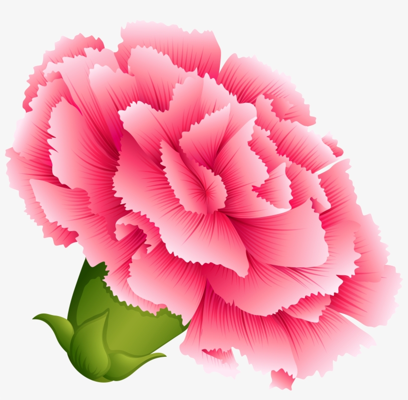 Png Royalty Free Download Png Clipart Image Art Quilts - Carnation Clip Art, transparent png #278496