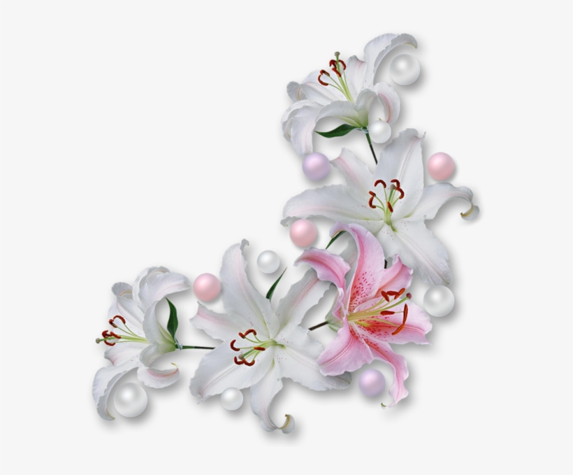 Gifs De Flores Com Fundos Transparentes, Flores Png, - Easter Lily Border Png, transparent png #279273