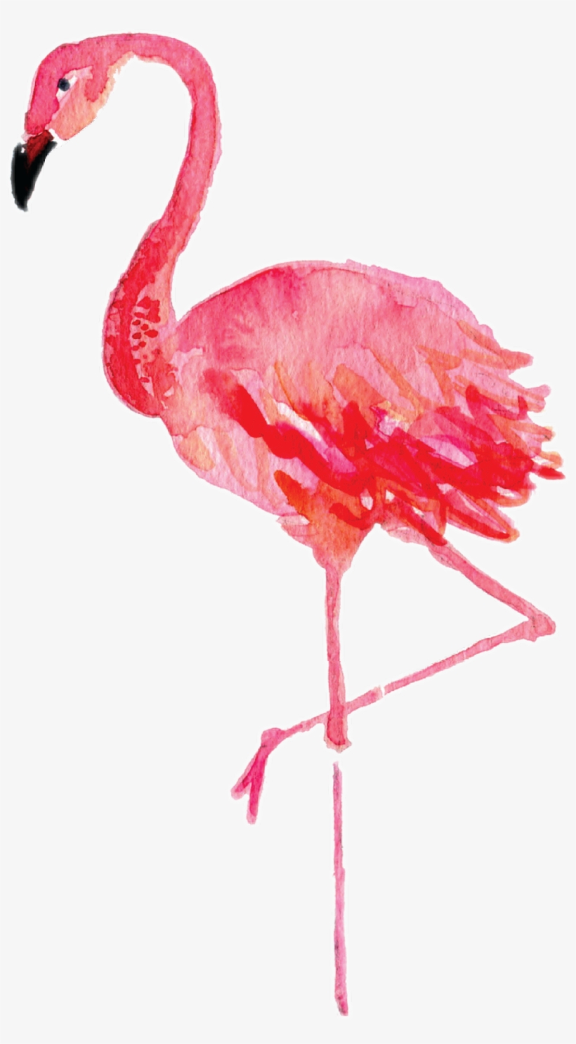 Report Abuse - Watercolor Flamingo Png, transparent png #279393