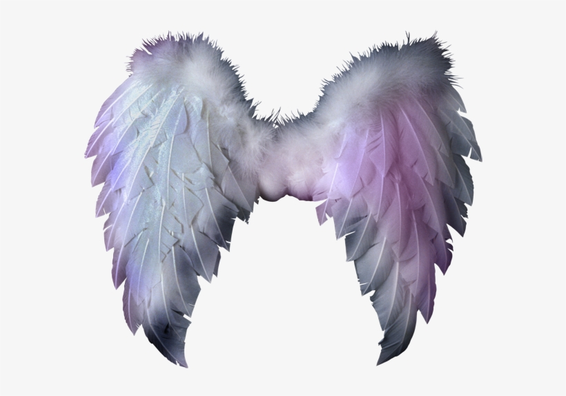 Angel Wings - White Feathered Wings Png, transparent png #279506