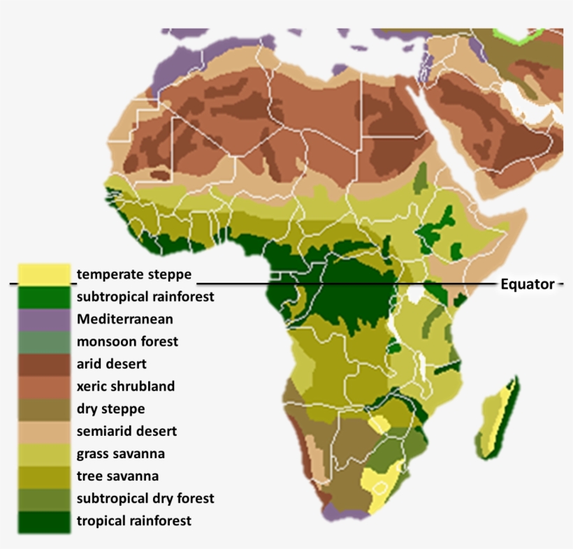 Vegetation Africa - Biomes Of Africa Map, transparent png #279629