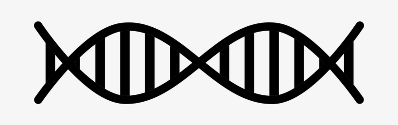 Dna, Microbiology, Science - Происхождение Славян. Днк-генеалогия Против «норманнской, transparent png #279920