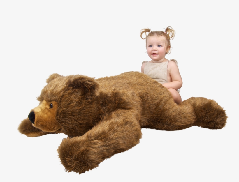 Urs Brown Bear - Brown Bear, transparent png #2700359
